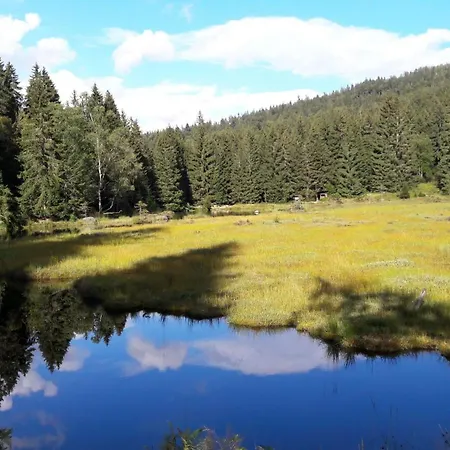 Apartment Fewo-harlachberg-blick-1 *