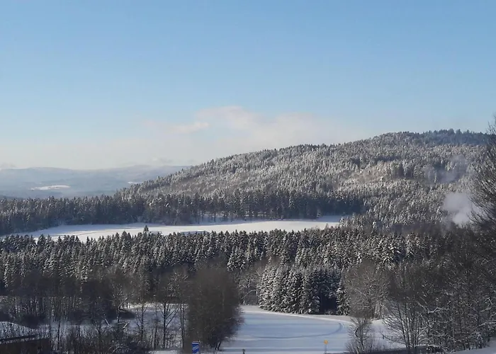 Fewo-harlachberg-blick-1 Lejlighed Bodenmais