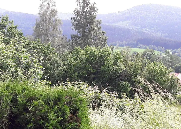 Fewo-harlachberg-blick-1 Lejlighed *