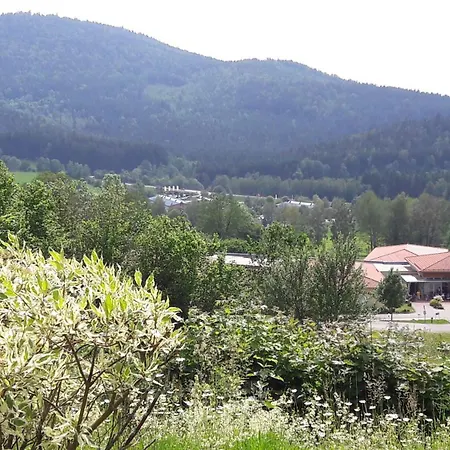 Fewo-harlachberg-blick-1 Bodenmais