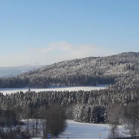 Fewo-harlachberg-blick-1 Apartment Bodenmais