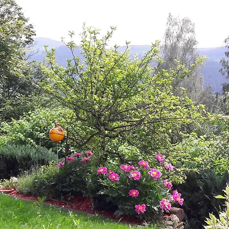 Apartment Fewo-harlachberg-blick-1 Bodenmais