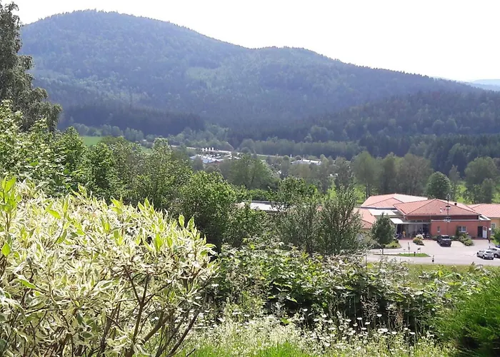 Fewo-harlachberg-blick-1 Bodenmais