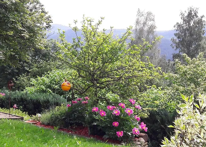 Lejlighed Fewo-harlachberg-blick-1 Bodenmais